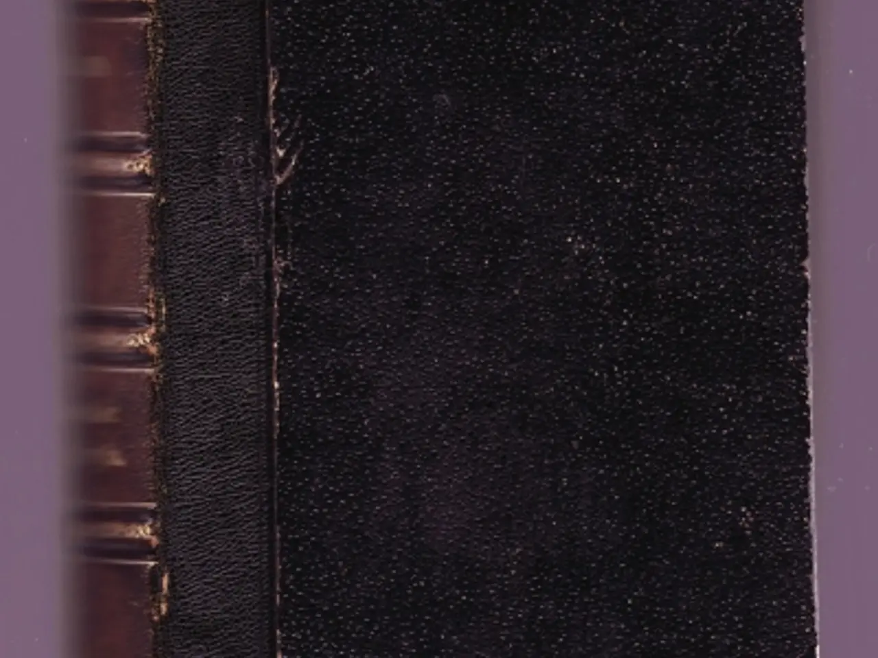 Billede 1 - Gottfried Keller: Noveller