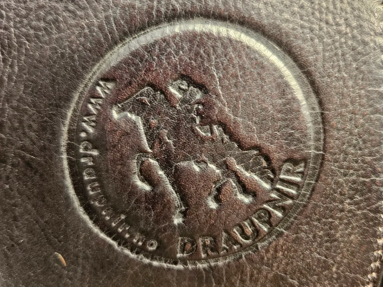 Billede 4 - Islænder DRAUPNIR