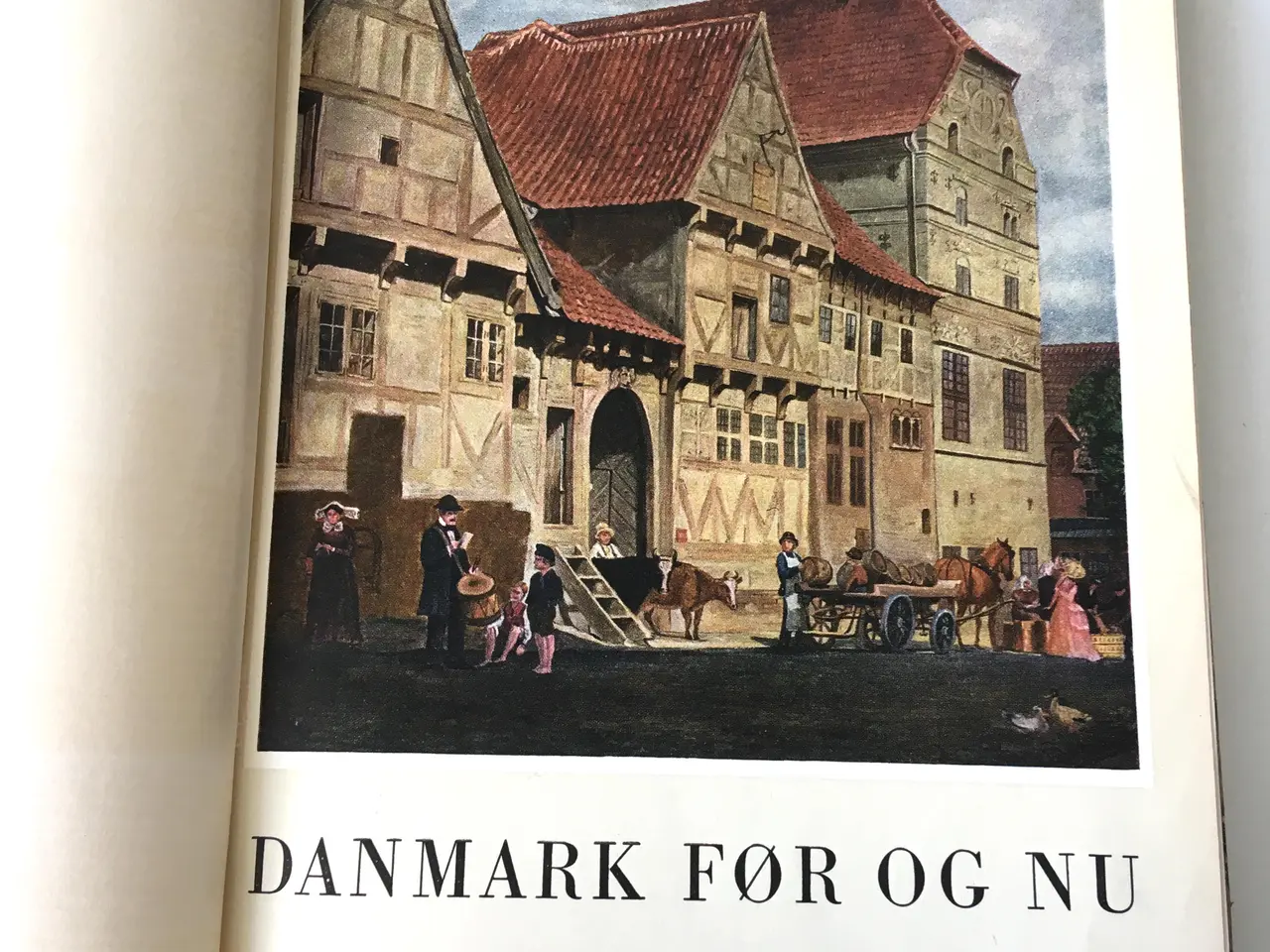Billede 4 - Pragteksemplarer af Danmark Før og Nu