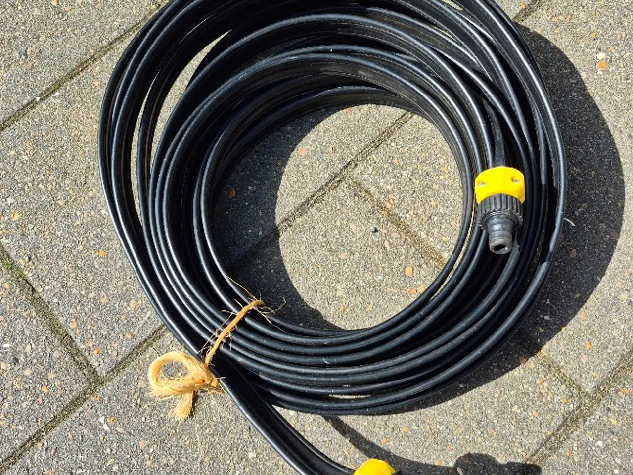 Billede 1 - Siveslange
