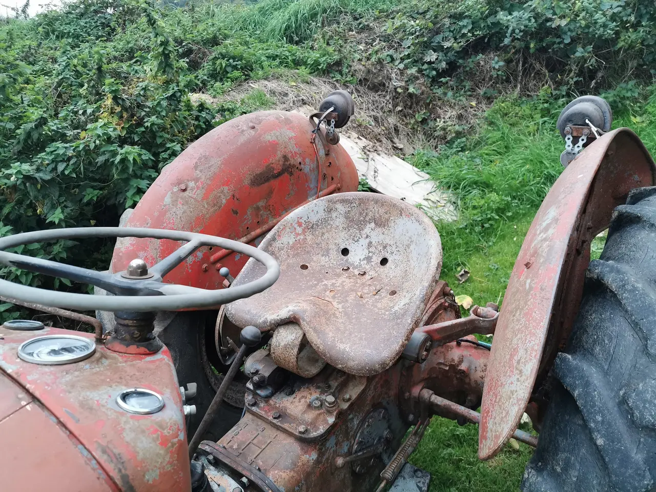 Billede 3 - Massey Ferguson 35 (MF35) - 4 cyl. benzin