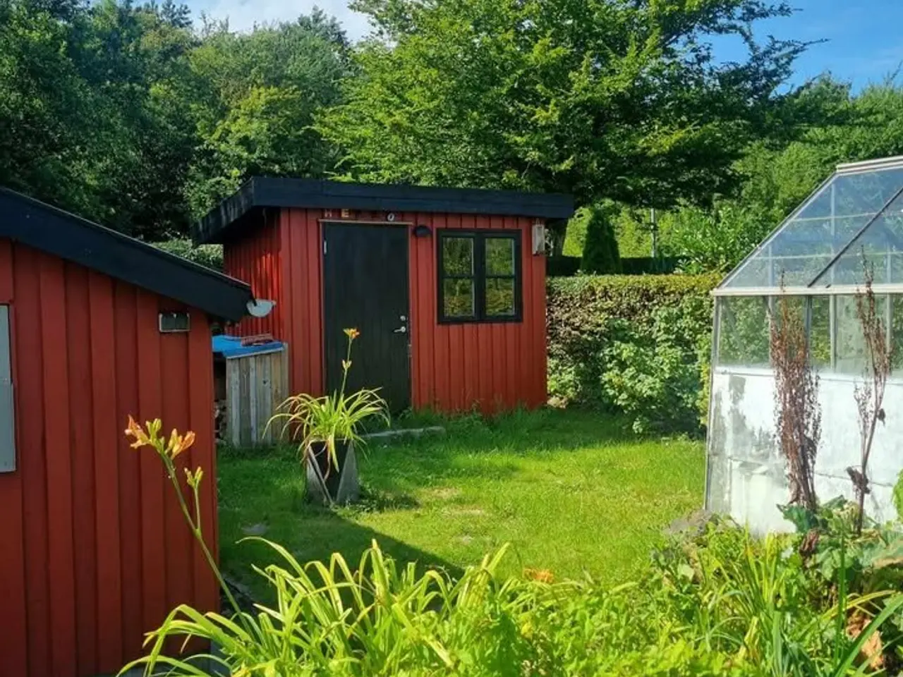 Billede 12 - Kolonihave til salg