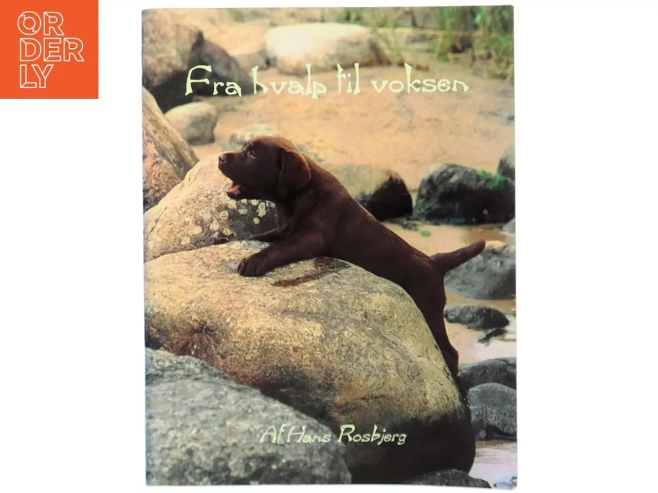 Billede 1 - Fra hvalp til voksen af Hans Rosbjerg