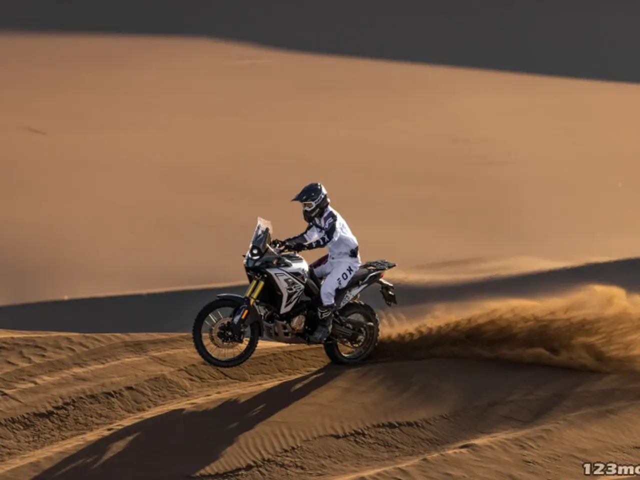Billede 5 - Voge DS 800 Rally