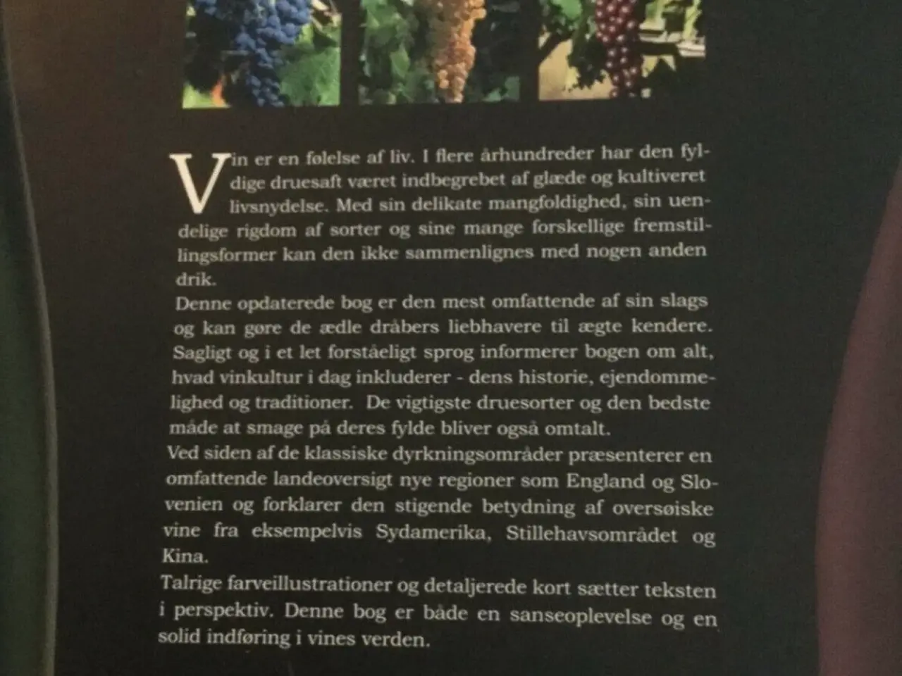 Billede 3 - VIN Katalog - Andre Domine