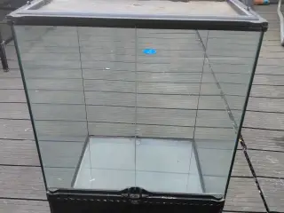 terrarium