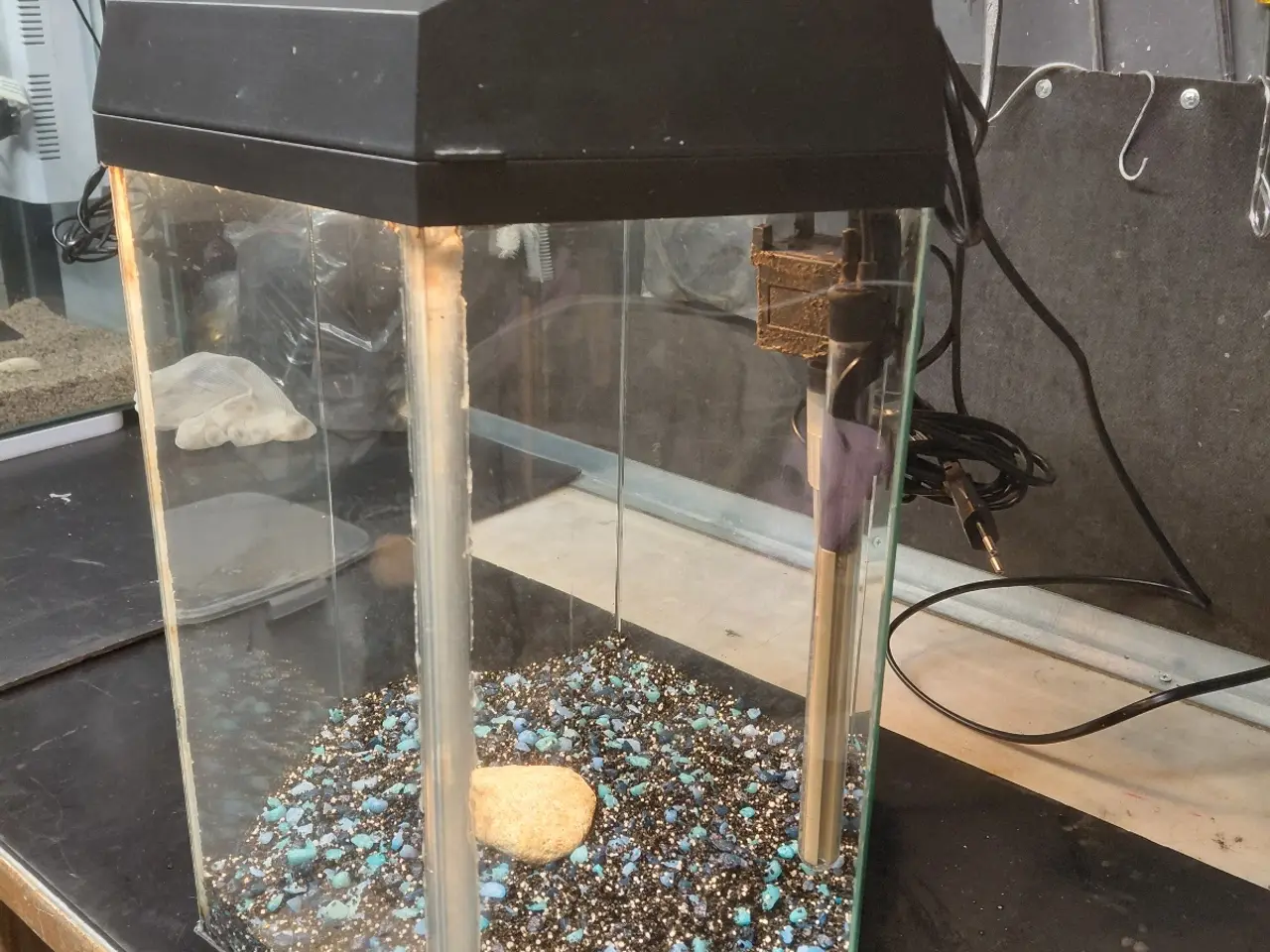 Billede 2 - Akvarier 30L