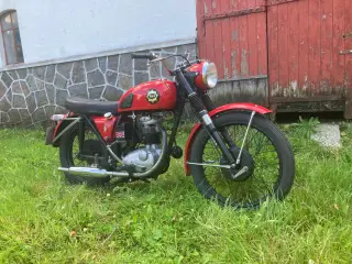 Bsa