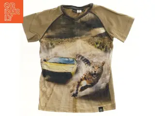 Kortærmet T-shirt med bil og leopard fra Molo (str. 116)