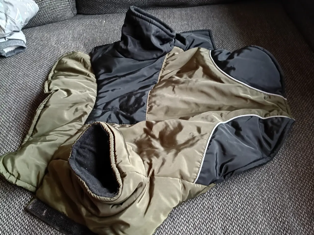 Billede 3 - Tøj og sko til lille hund