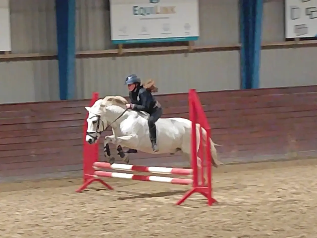 Billede 11 - Allround pony, en ny bedste ven