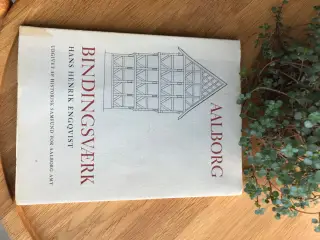 Aalborg Bindingsværk af Hans Henrik Engqvist
