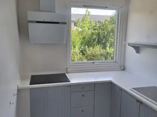 Ikea køkken inkl. hårde hvidevarer 