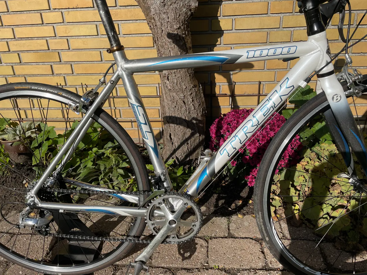 Billede 4 - Hurtig og let-velholdt racercykel - Trek 1000 Alph
