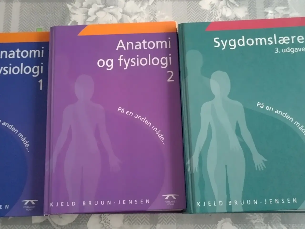 Billede 1 - Anatomi og fysiologi