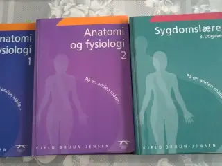 Anatomi og fysiologi