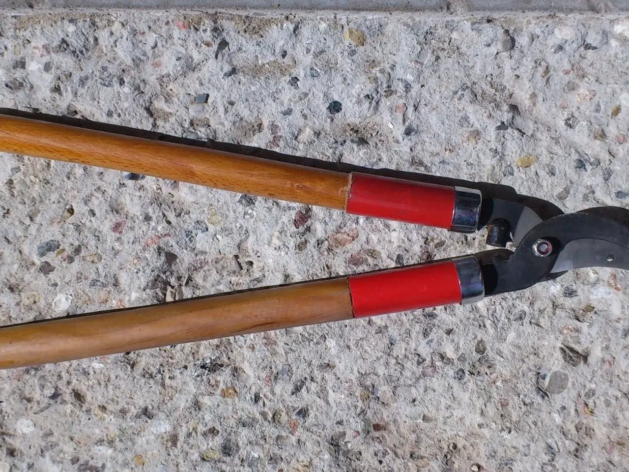 Billede 1 - Grensaks