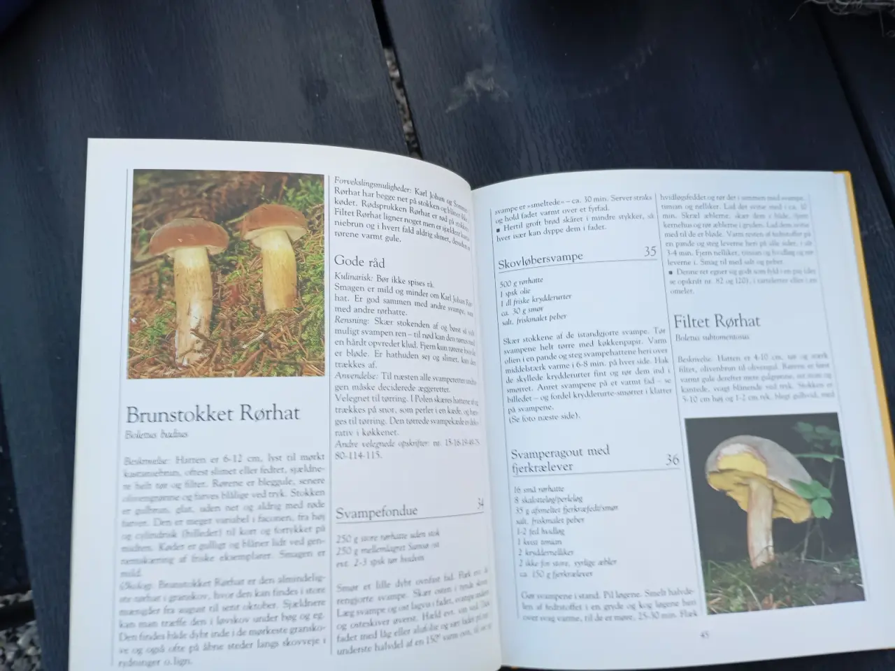 Billede 5 - Poiltikens Svampe Kogebog