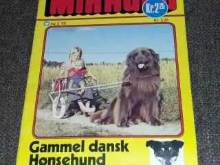 Min hund blad