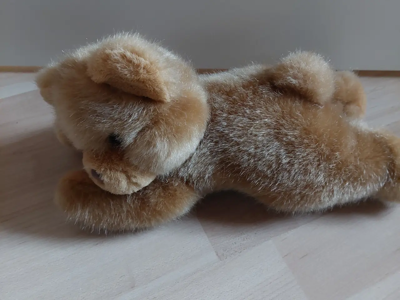 Billede 1 - Sød lille kramme/Sove Hund