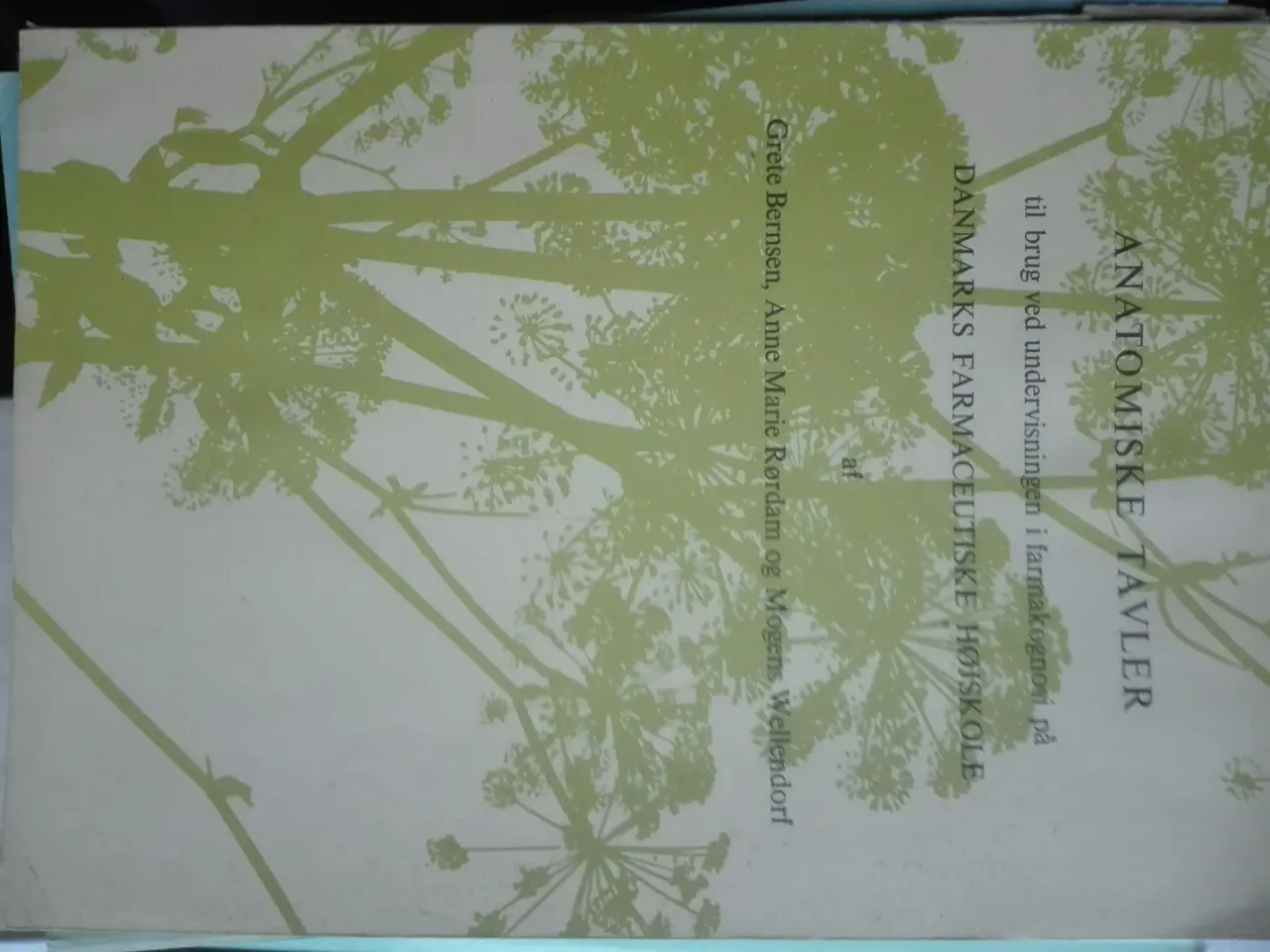Billede 1 - Berntsen et al, Anatomiske tavler. Giv et bud.