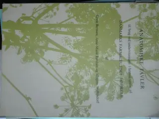 Berntsen et al, Anatomiske tavler. Giv et bud.