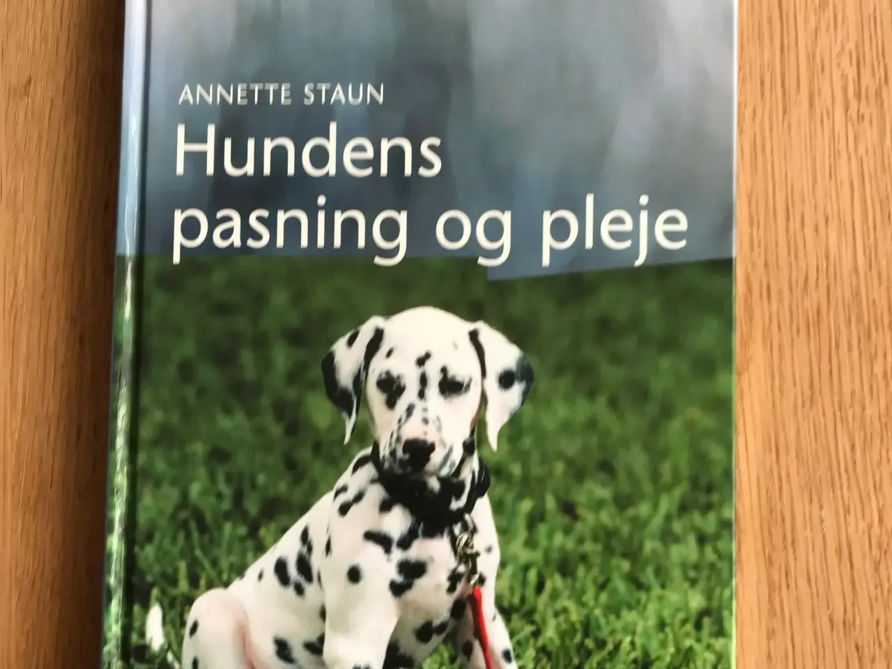 Billede 1 - Hundens pasning og pleje