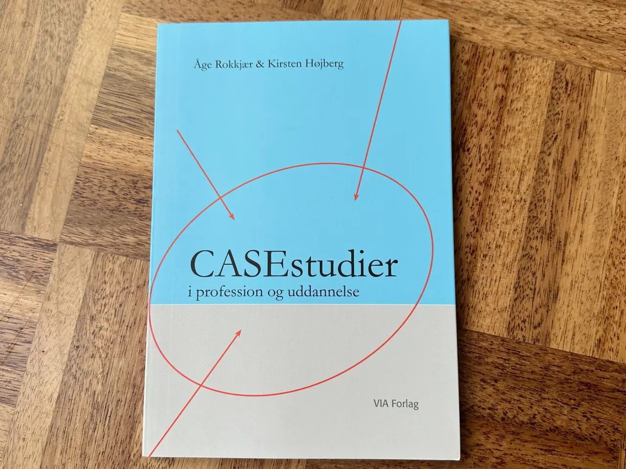 Billede 1 - CASEstudier i profession og uddannelse