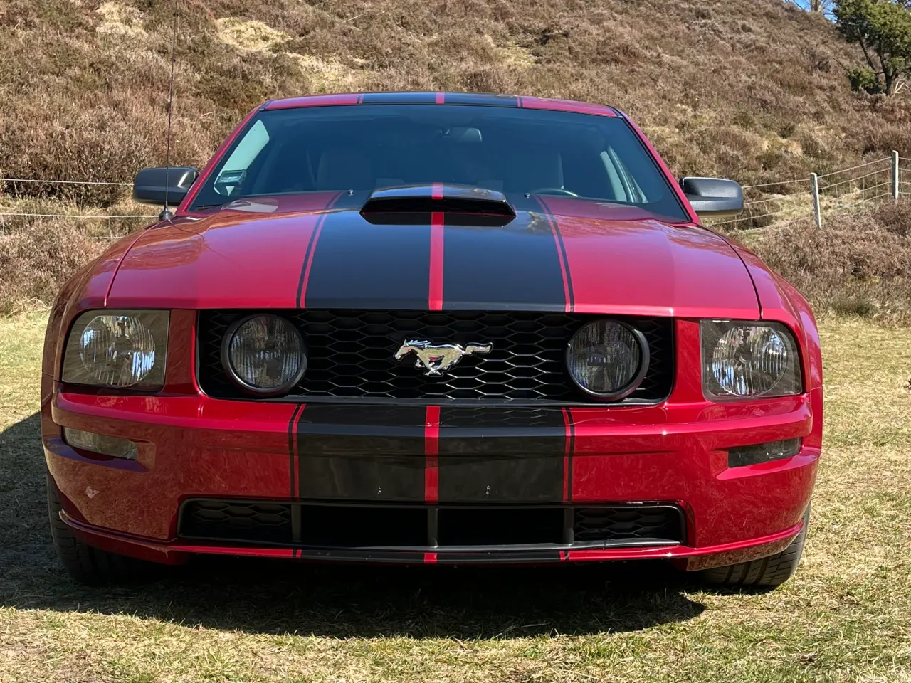 Billede 2 - Ford Mustang GT V8