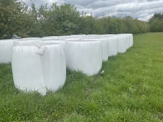 Wrap.