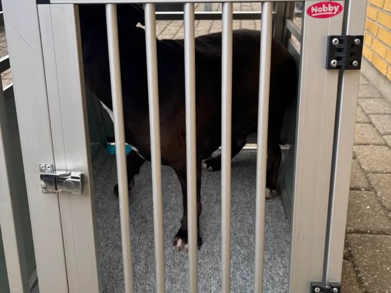 Billede 1 - Hunde bur