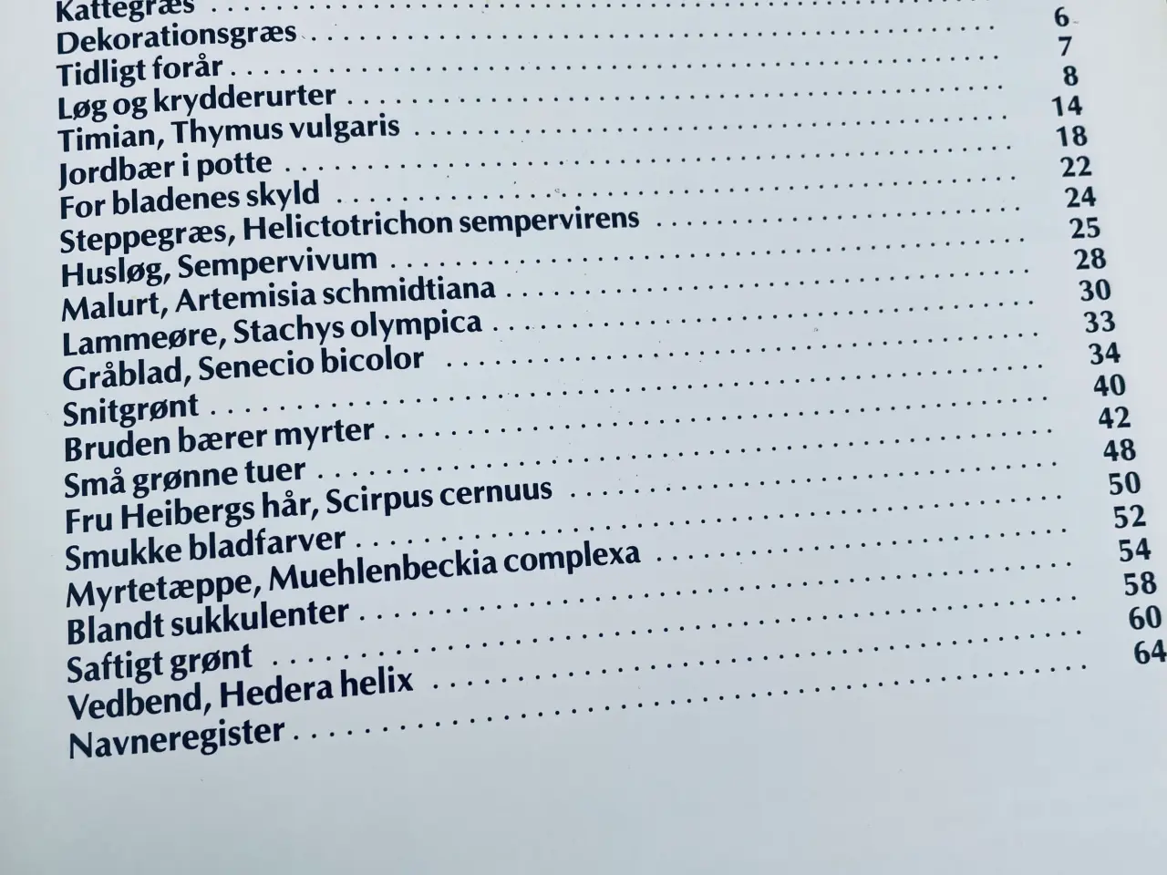 Billede 8 - Alt om stueplanter 6