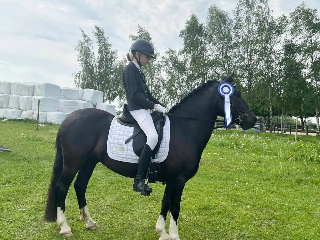 Billede 4 - Max kat 3,super børnepony