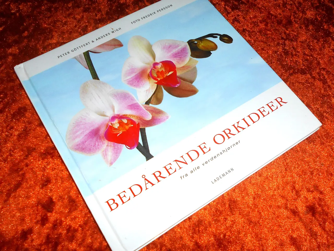 Billede 1 - Bedårende orkideer fra alle verdenshjørner