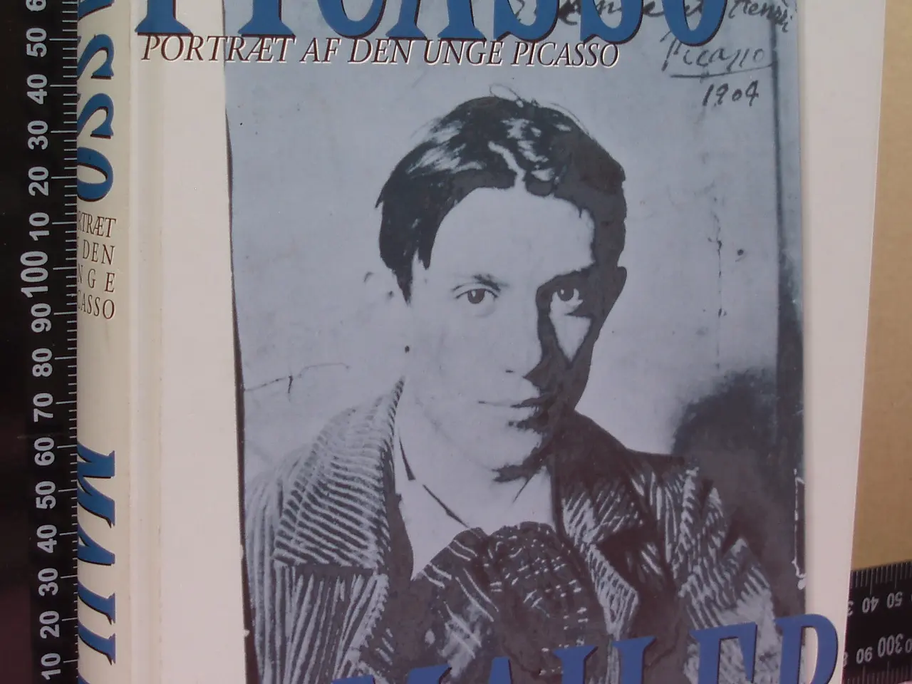 Billede 1 - Portræt af den unge Picasso af Norman Mailer