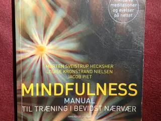 Mindfulness. Manuel til træning i bevidst nærvær