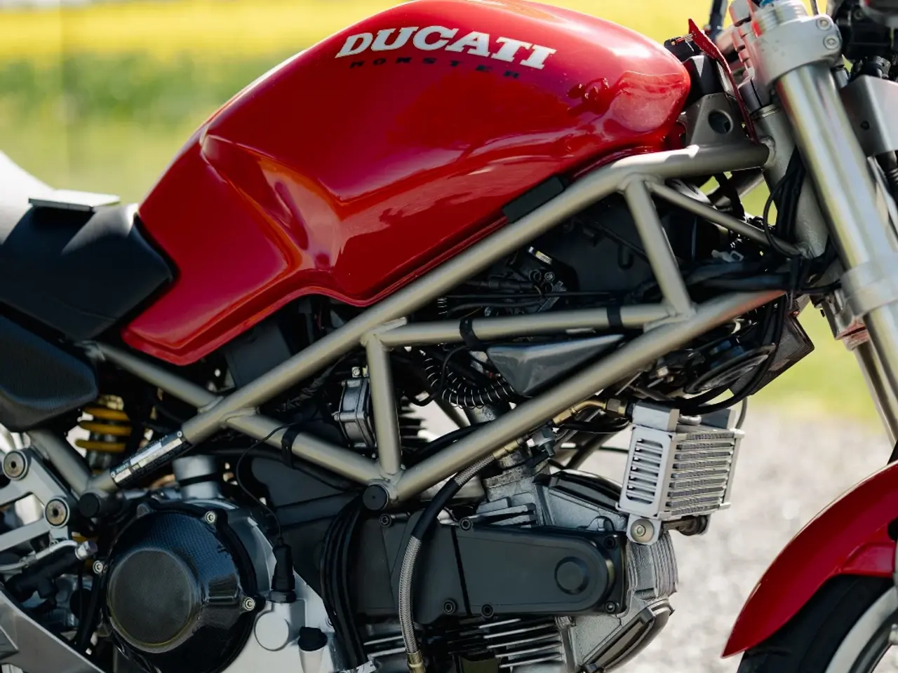 Billede 1 - 1997 Ducati 900 Monster