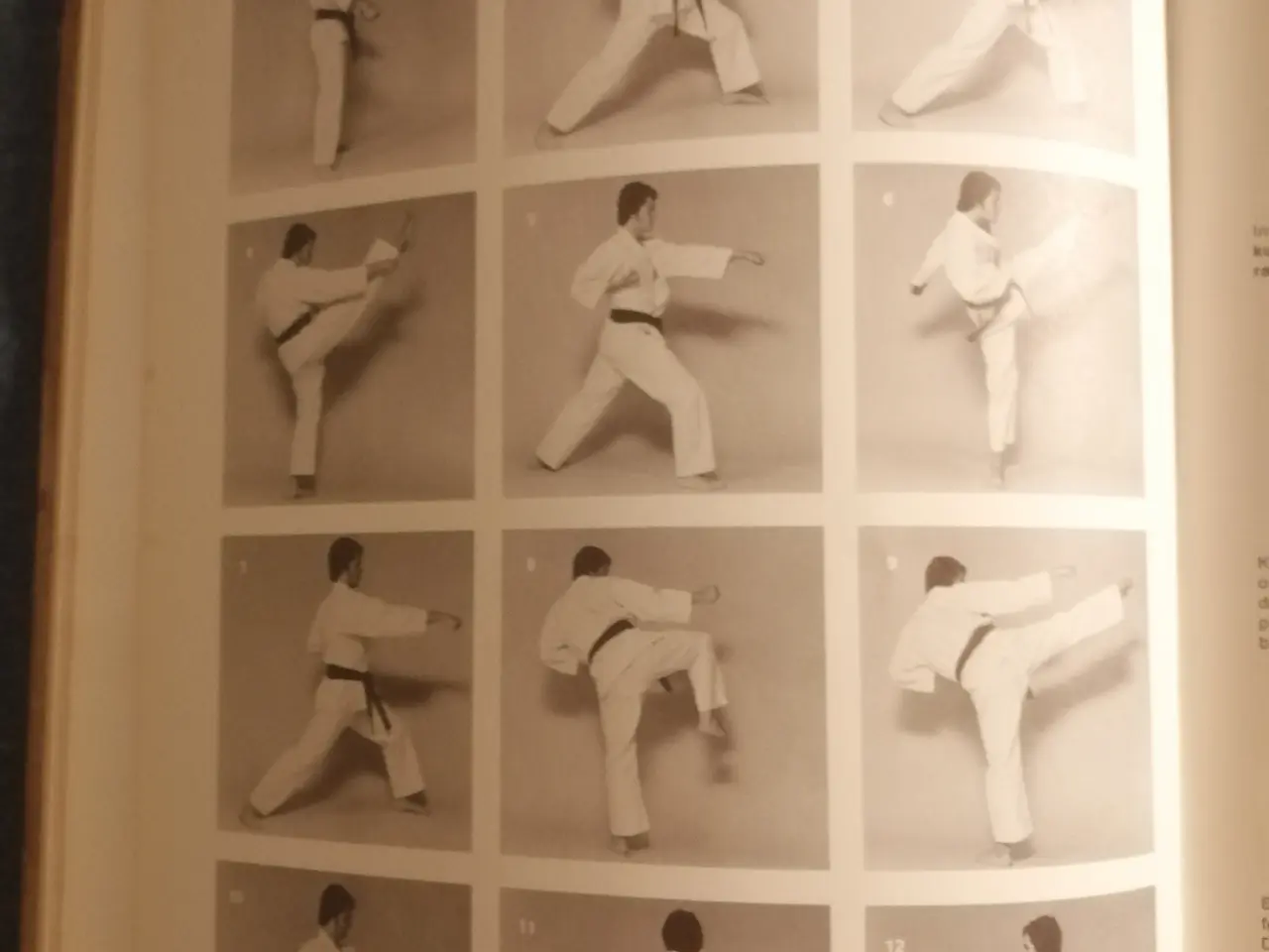 Billede 3 - Kyokushinkai - Vejen til Karate vol 2