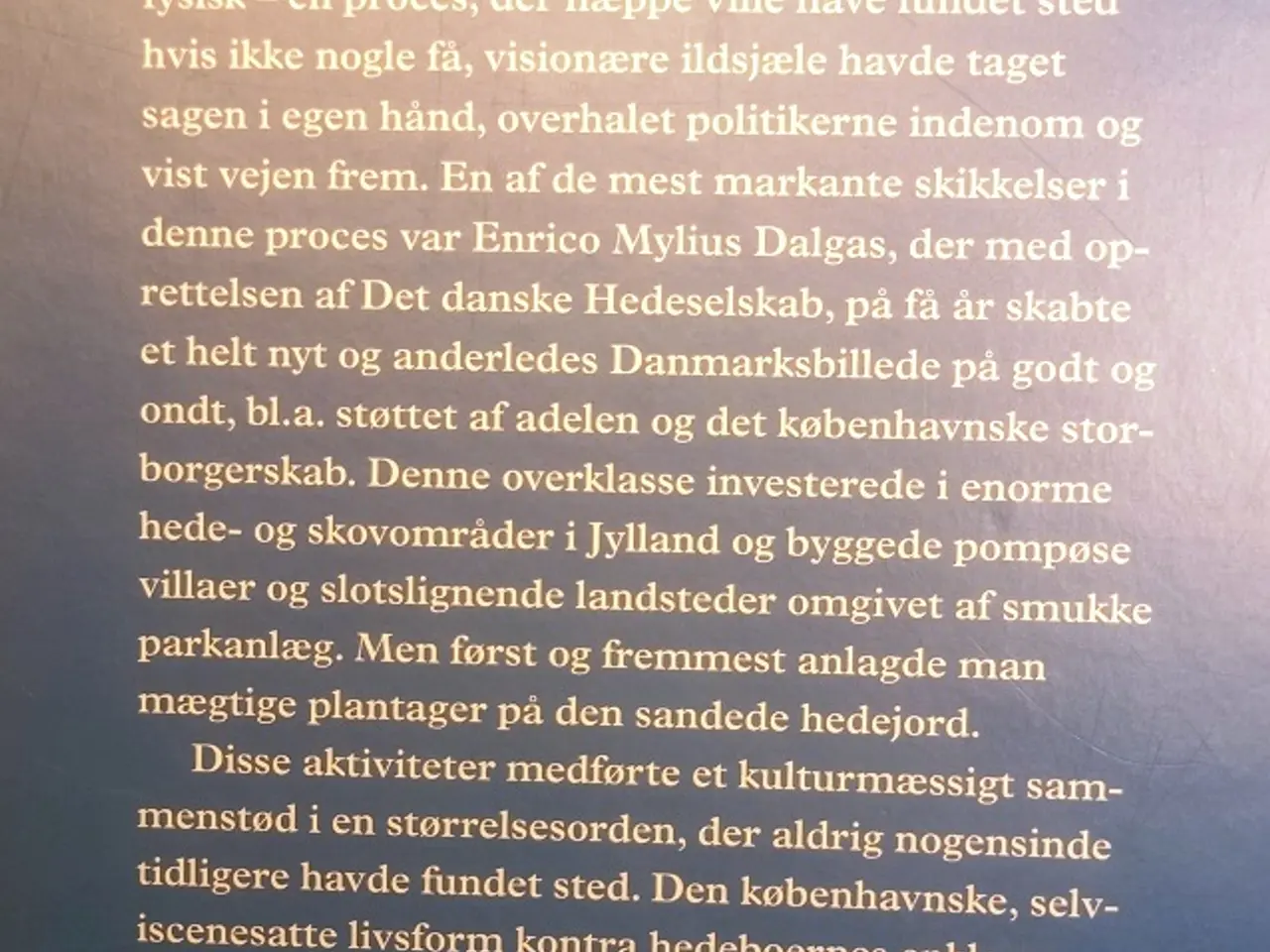 Billede 3 - Guld og grønne skove.