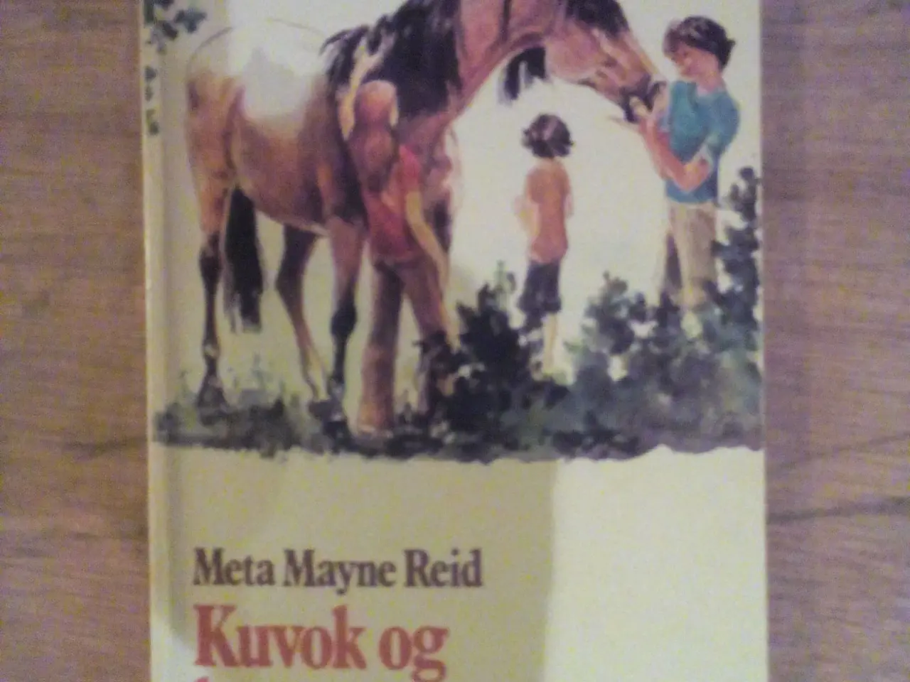 Billede 6 - Diverse hestebøger, priser fra 20 kr.