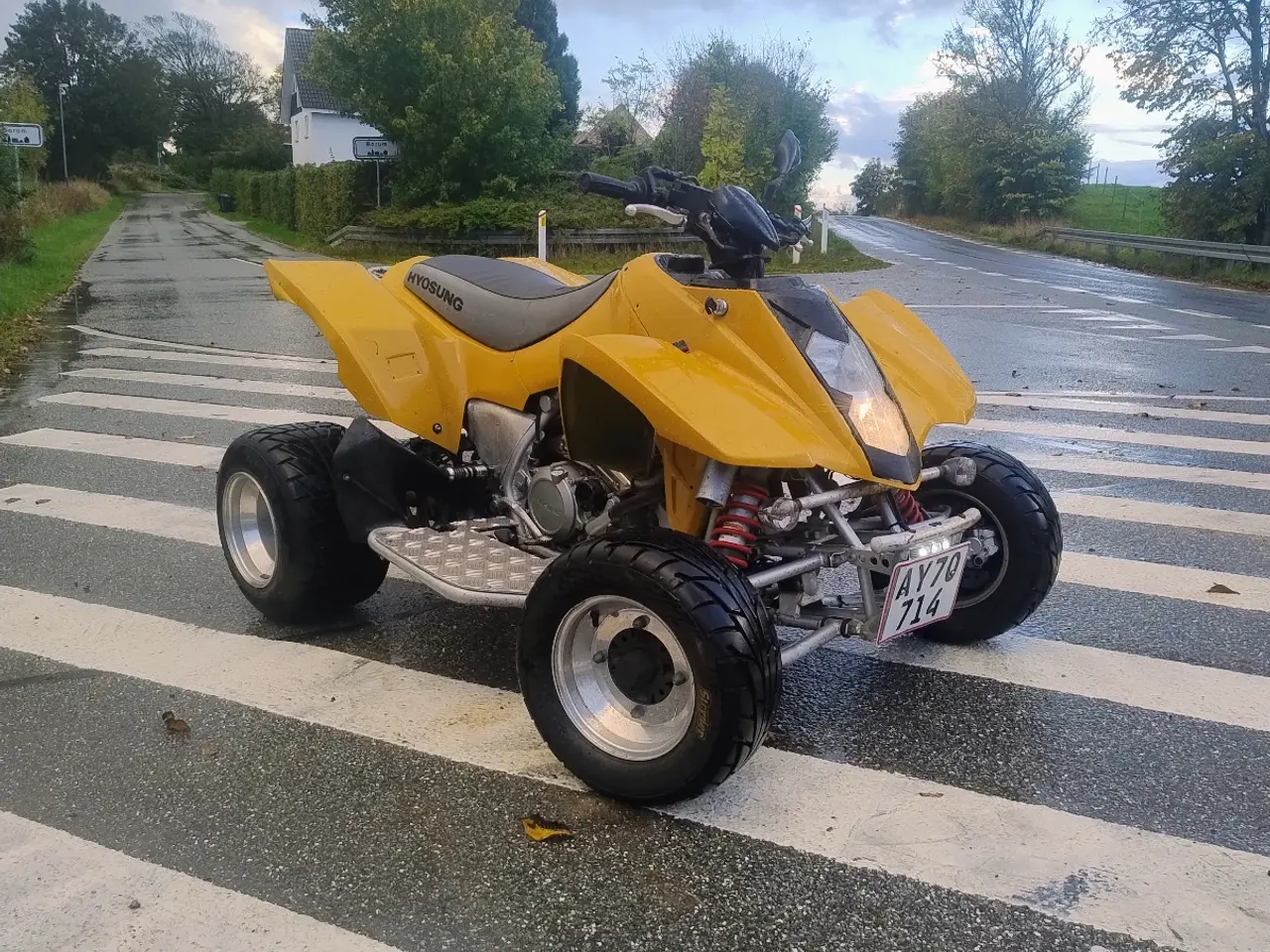 Billede 5 - Hyusong te 450 ATV på bil plader 