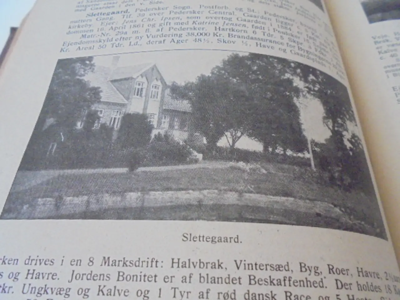 Billede 10 - Gamle Gaarde – III Samling – stort værk fra 1915