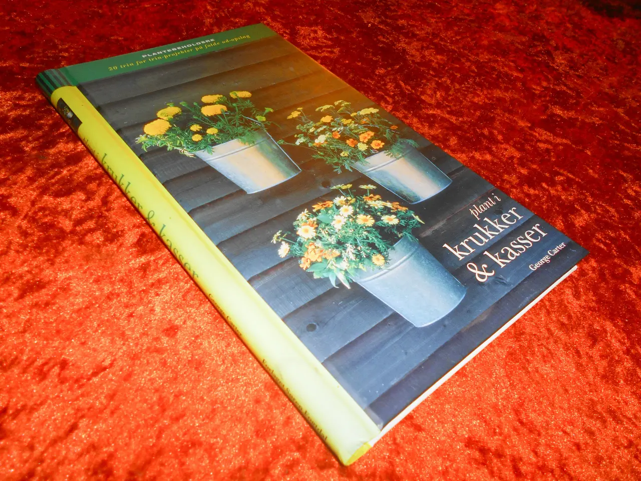 Billede 1 - Plant i krukker og kasser, George Carter