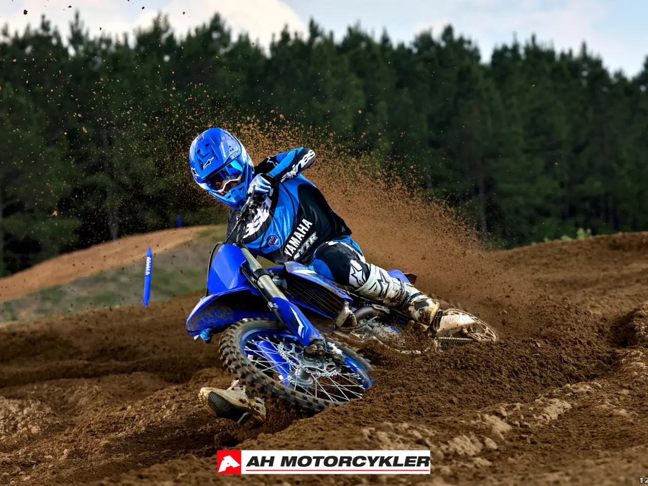 Billede 11 - Yamaha YZ 250 F