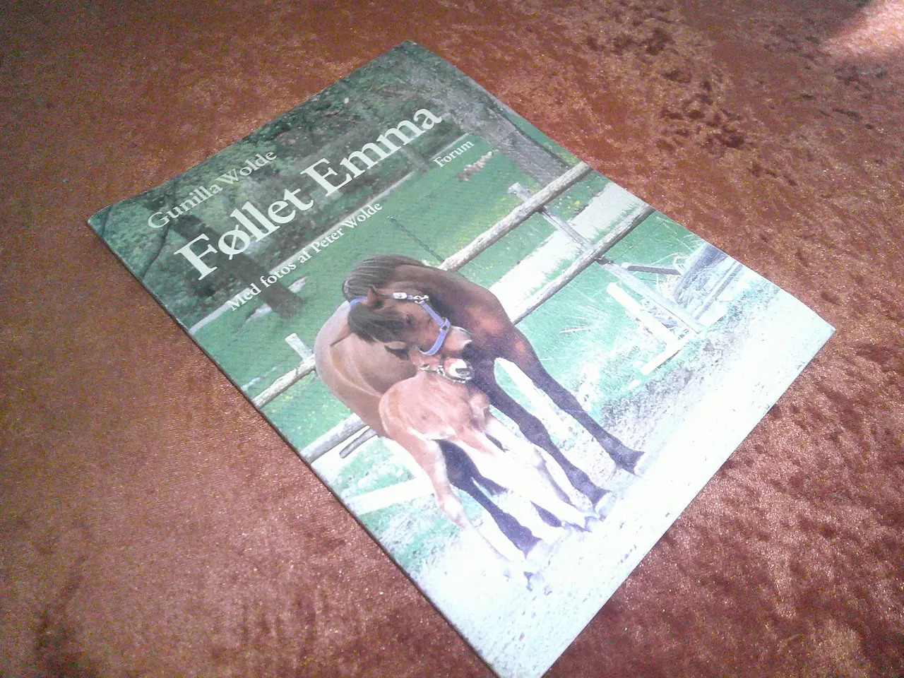 Billede 1 - Føllet Emma, Gunilla Wolde