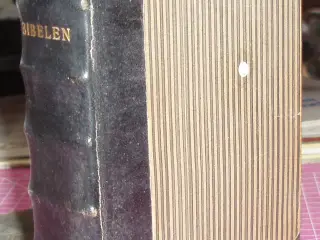 Bibelen Den hellige skrifts kanoniske bøger