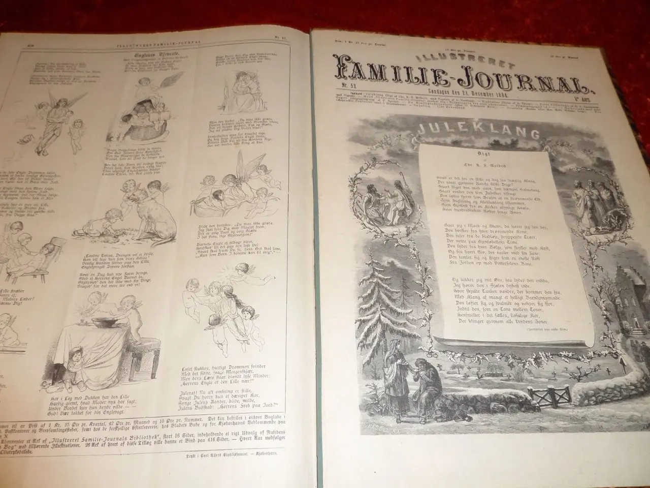 Billede 6 - Indbundet Familie Journal årgang 1895/1910
