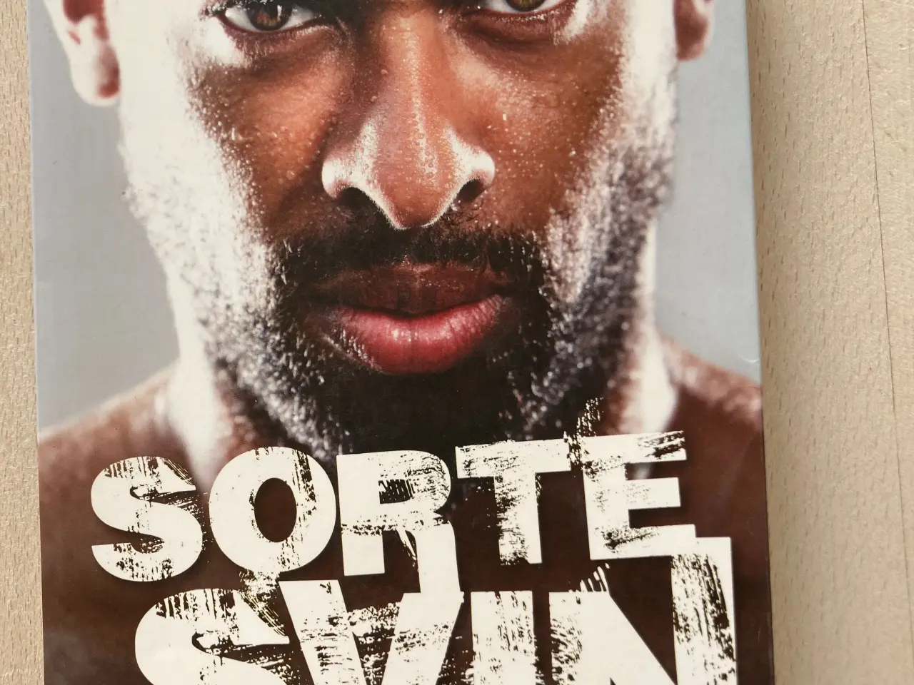 Billede 1 - Sorte svin, David Nielsen og Jonas Ankersen