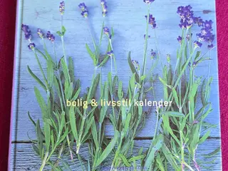Evighedskalender: Bolig & Livsstil 