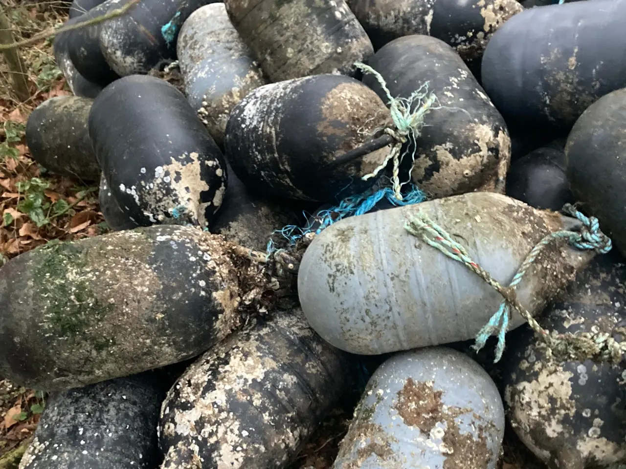 Billede 3 - Bøjer , Line bøje , fiskebøjer , badebro